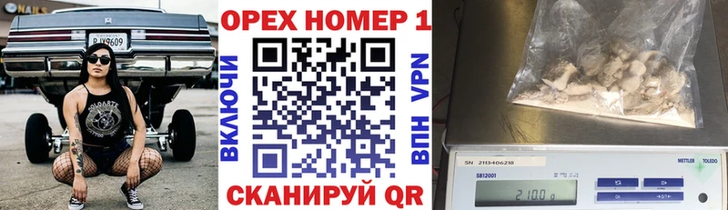 Галлюциногенные грибы Горячеводский