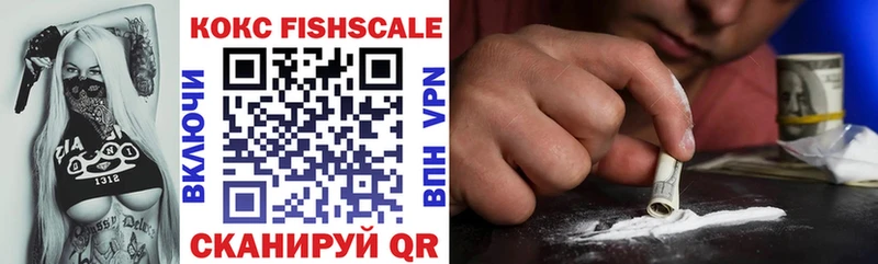 Cocaine Fish Scale  мориарти Telegram  Горячеводский 