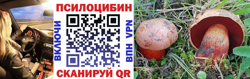 как найти закладки  Горячеводский  Псилоцибиновые грибы Magic Shrooms 