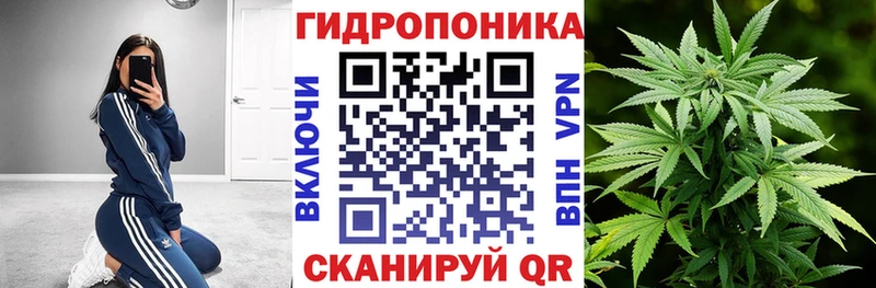 Шишки марихуана конопля  Горячеводский 